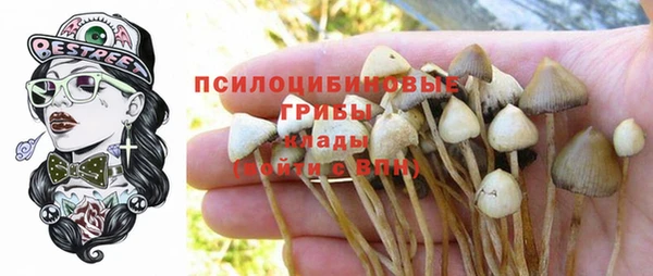 метамфетамин Аркадак